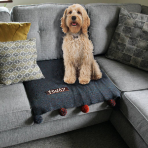 A handcrafted sofa saving pet pad or blanket featuring a thick, high quality personalised leather name tag and optional colour complimenting pompoms!