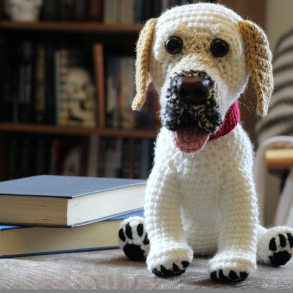 A bespoke and lovingly handcrafted keepsake crochet soft toy created from photographs of your beloved companion.