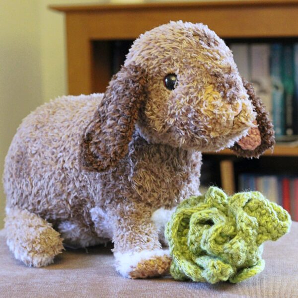 A bespoke and lovingly handcrafted keepsake crochet soft toy created from photographs of your beloved companion.