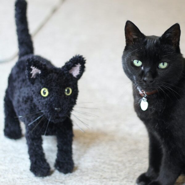 Treat yourself or loved one to a lovingly crocheted soft toy replica of your cat, created from your photographs.