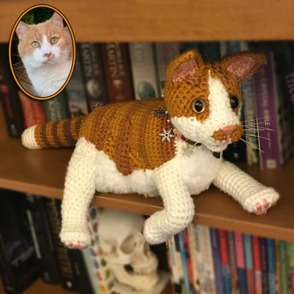 Treat yourself or loved one to a lovingly crocheted soft toy replica of your cat, created from your photographs.