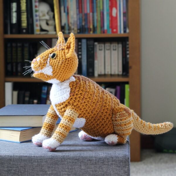 Treat yourself or loved one to a lovingly crocheted soft toy replica of your cat, created from your photographs.