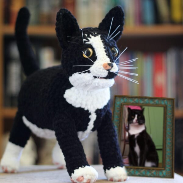 Treat yourself or loved one to a lovingly crocheted soft toy replica of your cat, created from your photographs.